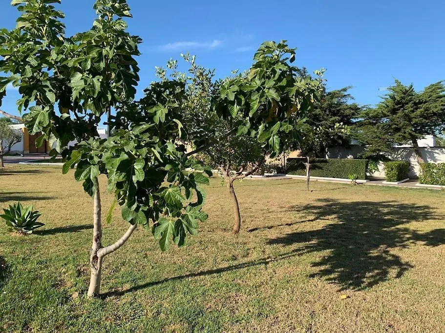 Murtra Especial Familia Hasta 16 Pax Piscina Hozanejos 0*,  Spanien